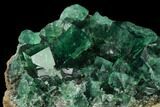 Fluorite Crystal Cluster - Rogerley Mine #135704-2